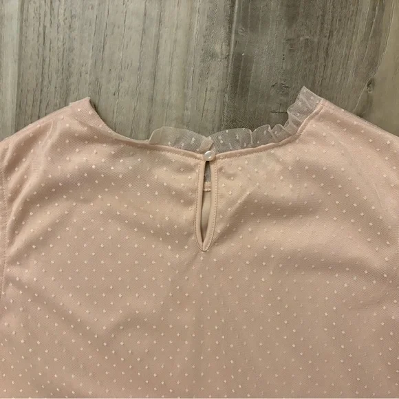 Adrianna Papell Blush Swiss Dot Sleeveless Blouse L – Ruffle Mesh Trim Top - Picture 9 of 9